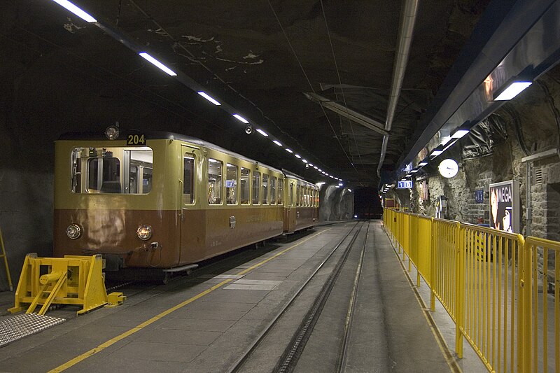 File:2008-07-21 Jungfraujoch railway station - 2.jpg