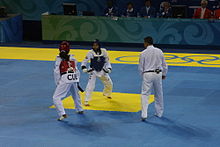 2008 Summer Olympics Taekwondo - Buttree Puedpong v. Daynellis Montejo.jpg