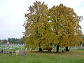 Čeština: Italský vojenský hřbitov English: Italian military cemetery