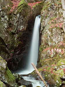 Saut de la Truite waterfall, in Lepuix, France