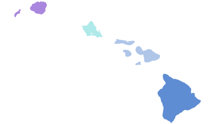 Results by county:
Green--50-60%
Green--30-40%
Tokuda--30-40%
Carvalho--40-50%
No data 2018 HI Lt. gubernatorial Democratic primary.svg