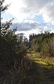 Laufenburger Wald bei Schevenhütte