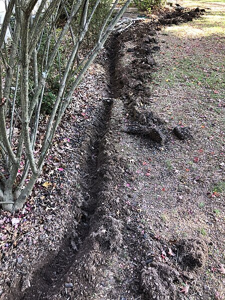 File:2022-11-10 14 23 46 A shallow trench dug for bulb planting in a yard along Aquetong Lane in the Mountainview section of Ewing Township, Mercer County, New Jersey.jpg