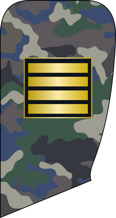 4- IRIADF-Cpl.png