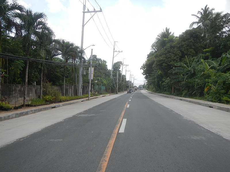 File:5539Calauan Poblacion Victoria Road 47.jpg