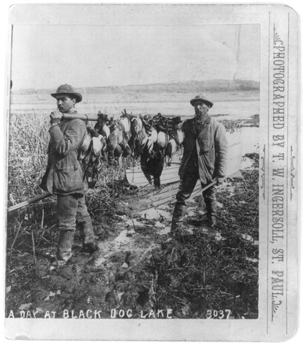 "A Day at Black Dog Lake" photograph by Truman Ward Ingersoll A day at Black Dog Lake LCCN2003674945.tif