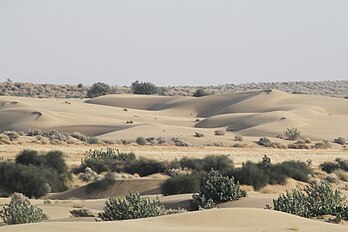 A view on Sams sand dunes.JPG