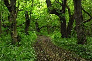 Abruka Nature Reserve Protected area in Estonia