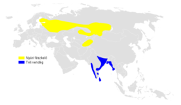 Acrocephalus dumetorum distribution map.png