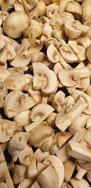 File:Agaricus.jpg