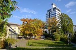 Thumbnail for Old Botanical Garden, Zürich