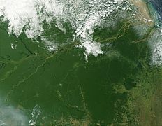 Вирубка амазонських лісів з космосу, 2002 рік