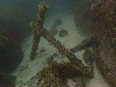 Anchor thought to be from the wreck of the Euphrates