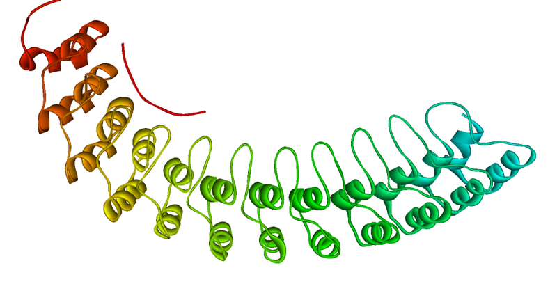 File:Ankyrin R membrane-binding domain 1N11.png