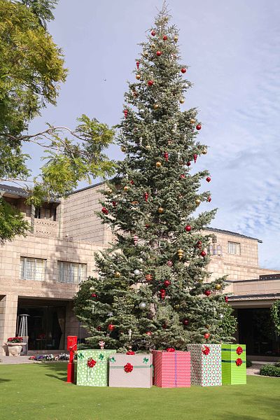 File:Arizona Biltmore Christmas Tree.jpg
