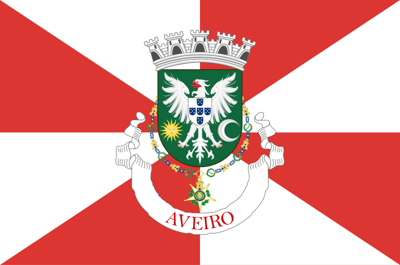 File:Aveiro Flag.svg