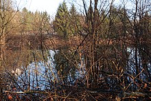 Baggersee Liefering 5.jpg