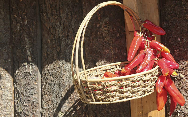 File:Basket (Éma of Bhutan).jpg