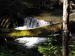 Big Quilcene River