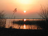 Lake Biwa