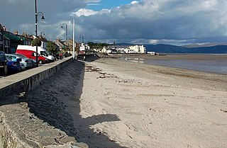 <span class="mw-page-title-main">Blackrock, County Louth</span> Seaside village in County Louth, Ireland