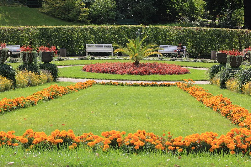 File:Botanischer Garten 14.jpg