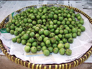 Fruits of Bouea macrophylla