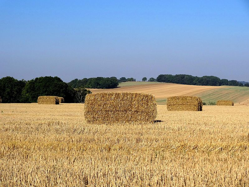 File:Boury-en-Vexin (60), après les moissons.jpg