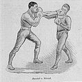 File:Coquille boxe pied-poing.JPG - Wikimedia Commons