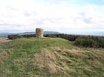 Brighstone Down