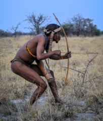 Member of the San people hunting, holding a bow and arrow