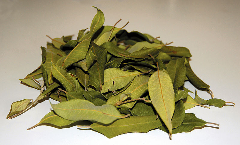 File:CSIRO ScienceImage 3022 Dried Lemon Myrtle Leaves Backhousia citriodora.jpg