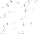 Calcitriol-Synthesis.png