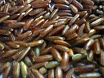 Camargue red rice Camargueredrice.png