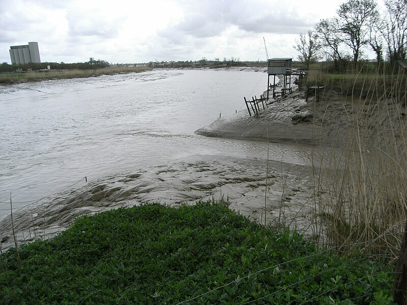 File:Canal Charente-Seudre 010.jpg