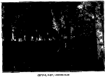 Miniatuur voor Bestand:Central part, looking east - Cortland Rural Cemetery (1911).gif