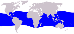 Mapa de distribuição da baleia-cabeça-de-melão