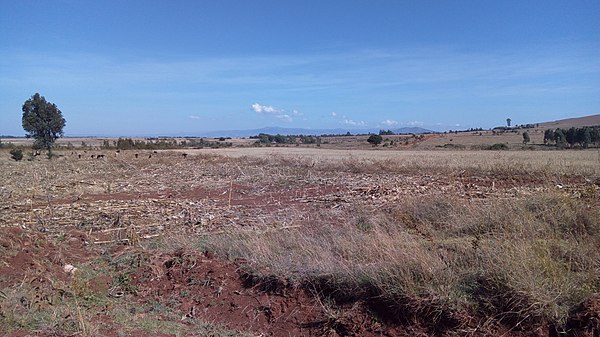 Cherangani hills as viewed from farmlands near Karuna,Moiben, Uasin Gishu
