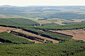 osmwiki:File:Clear felling sections in Eskdalemuir Forest - geograph.org.uk - 2521012.jpg