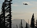 Coast Guard helicopter against smokey skyline. Probably Paradise. (4dc1e201a8d64658bc050493f111a1ca).JPG