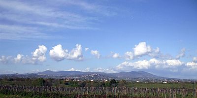 Panorama dei Colli Albani- RM