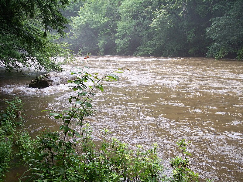 File:Cranberry River WV.jpg