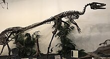 Dakotaraptor.jpg