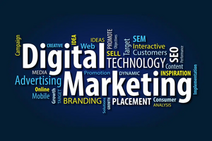 Netcentricity IS digital marketing.