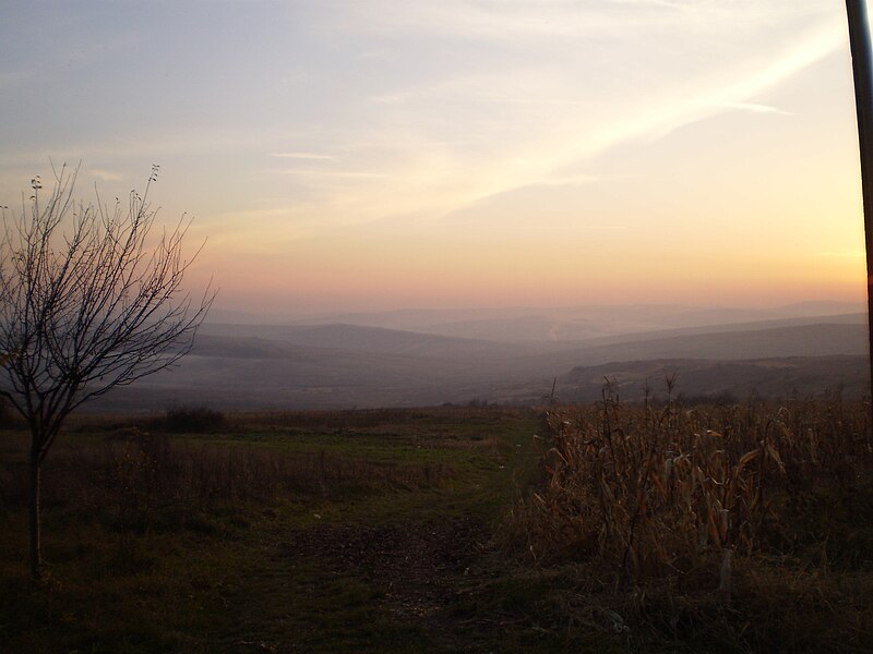 File:Dioșod 457168, Romania - panoramio (3).jpg