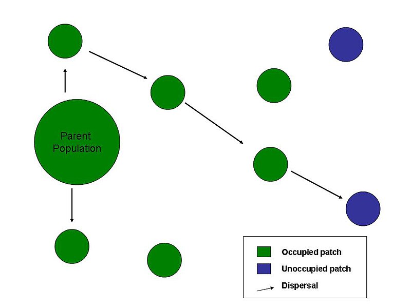 File:Dispersal diagram.jpeg