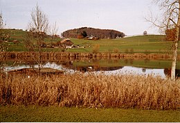 Forst-Längenbühl - Sœmeanza