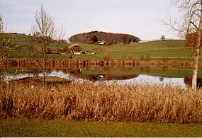 Lago Dittligsee en Forst-Längenbühl