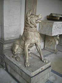 Canis pastoralis dari zaman purba klasik, di Muzium Vatikan; telinganya merupakan pemulihan semula. Lihat juga Anjing Duncombe