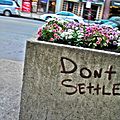 Don't Settle (2692184765).jpg